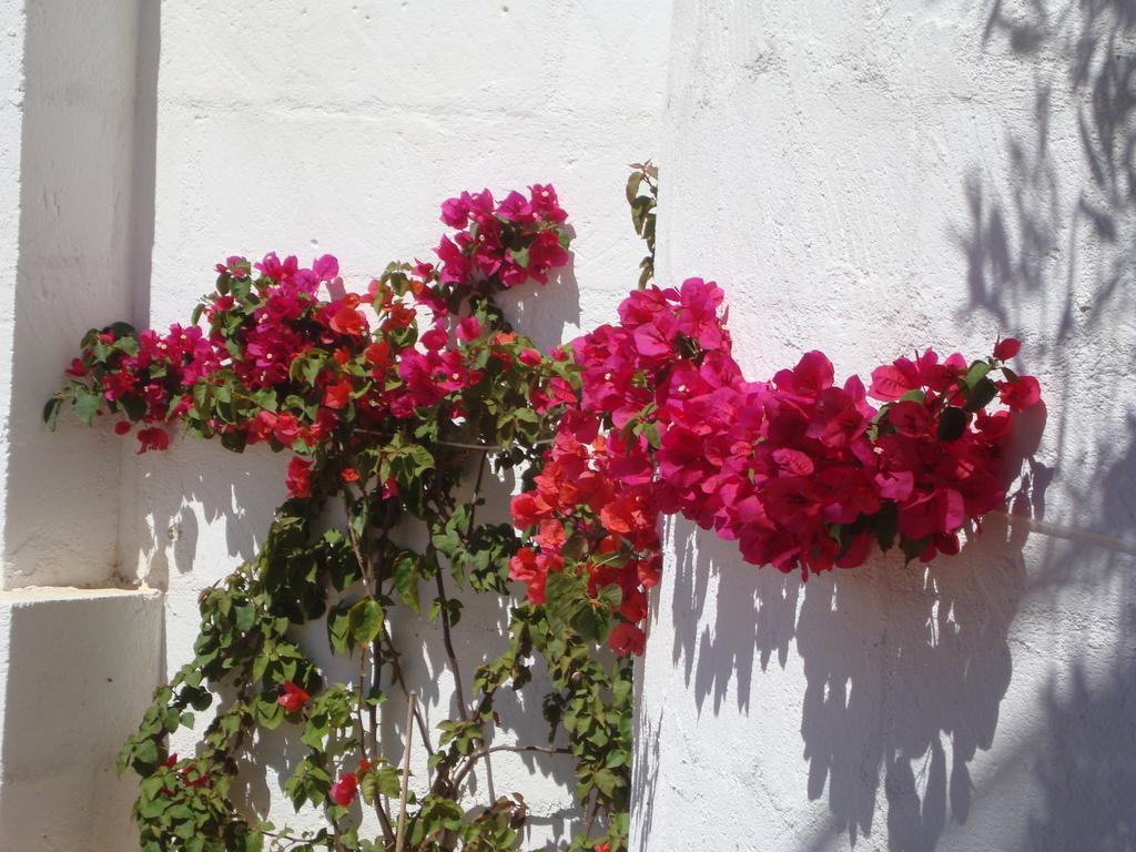 Masseria Bianca Di Puglia Monopoli Habitación foto